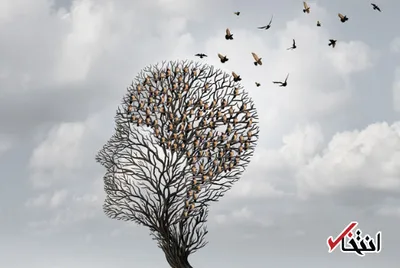 با مصرف این مواد غذایی آلزایمر می گیرید