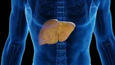 غذا خوردن در ساعات پایانی شب با افزایش خطر کبد چرب مرتبط است