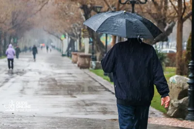 آغاز بهاری خشک‌تر از گذشته/ کاهش ۲۸ درصدی بارش