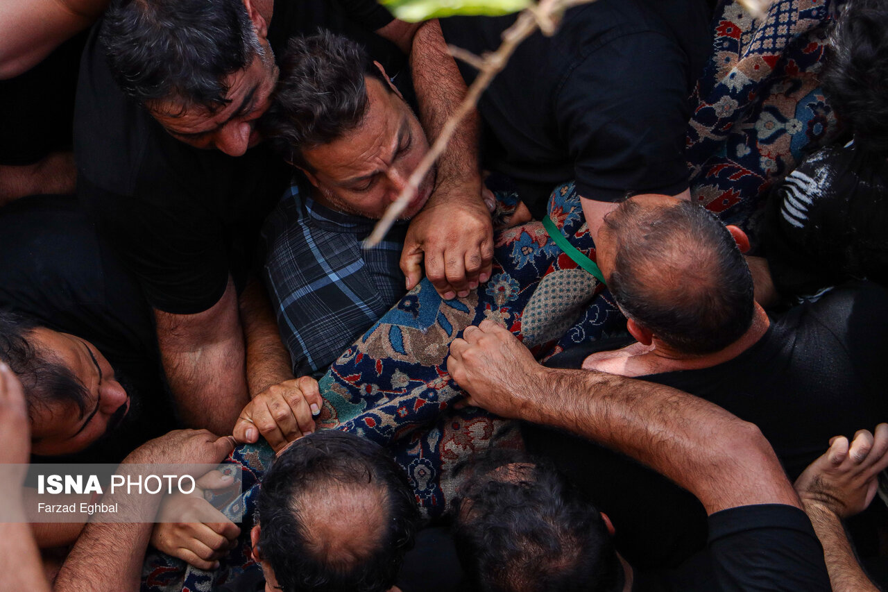 تصاویر: مراسم قالیشویان مشهد اردهال - کاشان