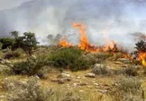 آتش برای دهمین بار در کمتر از یک ماه، در میانکاله زبانه کشید / سریالی که پایان ندارد