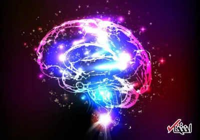 چند درصد ما مغزمان را آکبند نگه می داریم؟!