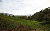 تصاویر: دهدز بهشت پنهان - خوزستان