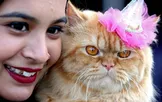 تصاویر : دیدنی‌های امروز دوشنبه ۹ دی ماه