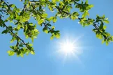 وضعیت آب و هوا، امروز ۶ مرداد ۱۴۰۵؛ انتظار کاهش نسبی دما در سواحل شمالی و دامنه‌های جنوبی البرز از امروز