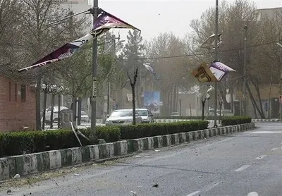 وزش باد شدید در پایتخت / سقوط چندین درخت و تیر چراغ برق