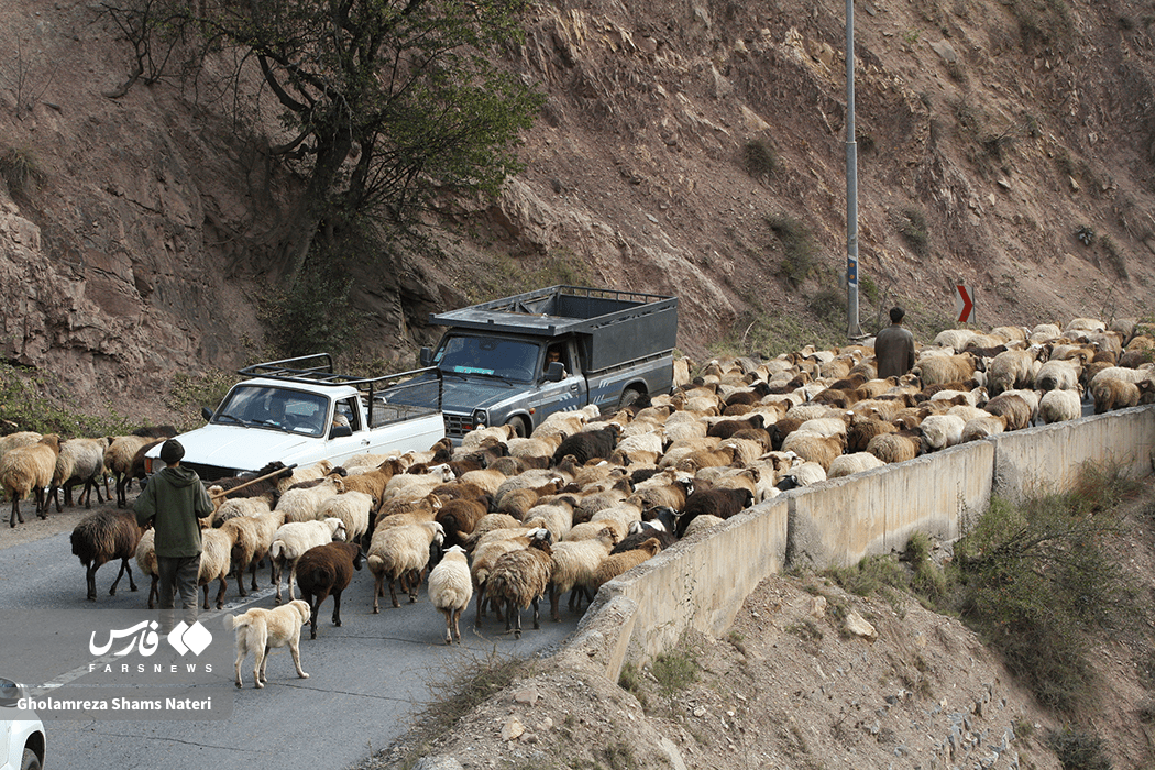 تصاویر: انسداد پر دردسر