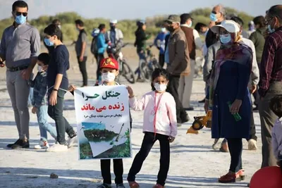 مردم نجات جنگل حرّا را فریاد زدند