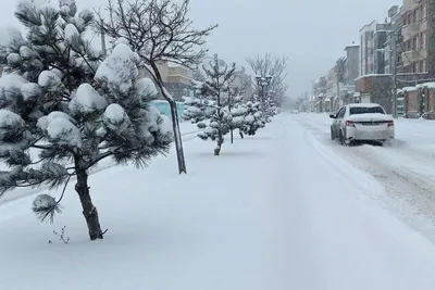 هواشناسی: تهران سردتر می‌شود/ بارش برف و باران تا یکشنبه