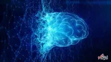 استفاده از هوش مصنوعی برای یافتن اطلاعات می‌تواند دانش شما را کاهش دهد
