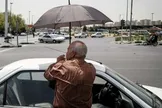 هواشناسی: افزایش دمای تهران از جمعه تا یکشنبه