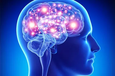 روش‌های حفظ هوشیاری ذهن با افزایش سن