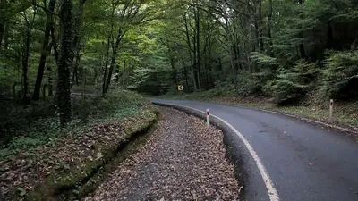 جست‌وجوی یک منطقه جنگلی و یک مزرعه برای یافتن «بقایای جسد خاشقجی»