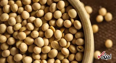 آجیل سویا چیست و چه خواصی دارد؟