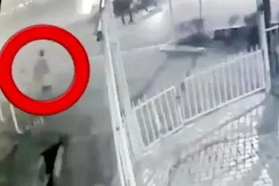 قوه قضائیه درباره پرونده قتل دانشجوی دانشگاه تهران: در پی ایجاد برخی ابهامات پیرامون اظهارات سخنگوی قوه قضائیه، مراد از بازداشت شدگان اخیر، «برخی از مظنونین مرتبط با حادثه قتل» است / سعی بر آن است که با کشف برخی سرنخ‌های مرتبط، عوامل اصلی شناسایی شده به‌زودی بازداشت شوند