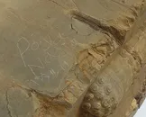 یادگارنویسی تازه در تخت جمشید؛ تخریب‌گران چگونه به دروازه ملل رسیدند؟ / یک کنشگر میراث فرهنگی: دوربین‌های مدار بسته در سراسر میراث جهانی پارسه کار می‌کند، اما با گذشت پنج تا شش روز کسی از این رخداد تلخ با خبر نشده / با دست به دست شدن عکس یادگاری‌نویسی در شبکه‌های اجتماعی مسئولان و مدیران با خبر شده‌اند