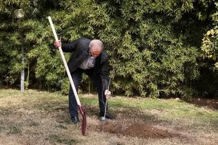 ببینید/ اصرار جالب پزشکیان بر کاشت دقیق درخت دوستی در پاکستان