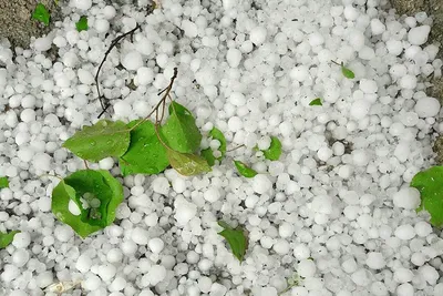 ببینید / بارش سیل آسای تگرگ روستای بیاندره در بانه