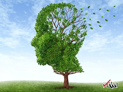 حافظه دیداری چیست و چگونه تقویت می شود؟