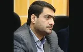 عضو شورای شهر تهران: «میزان جریمه قطع درخت» به دیه انسان نزدیک شده است