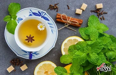 5 خوراکی که مغز را تقویت و بازسازی می کنند