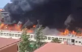 ببینید/ دانشگاهی در ایتالیا طعمه شعله‌ها شد