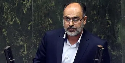 دبیر کمیسیون مشترک منتقدان طرح صیانت را «سگهای قلاده بلند» خواند