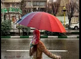تصاویر: گذری در شهر