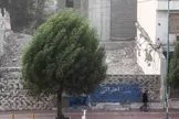 افزایش سرعت وزش باد در تهران