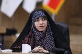 هشدار عضو شورای شهر تهران در خصوص پشه آئدس: شهرداری تهران در خصوص جمع‌آوری زباله باید برنامه‌ای منسجم داشته باشد تا شاهد همه‌گیری دیگری نباشیم