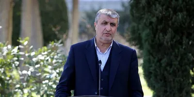 رئیس سازمان انرژی اتمی: در مورد ۲ مکان باقی‌مانده، مدارکی به آژانس ارسال کردیم؛ اگر مورد پذیرش واقع نشود مستندات بیشتری ارائه خواهیم کرد