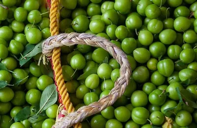 آلوچه ۲۰۰ هزار تومانی در بازار مازندران