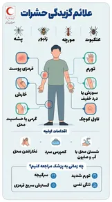 این علائم را در بدن جدی بگیرید؛ درچه شرایطی بعد از گزیدگی باید به پزشک مراجعه کرد؟