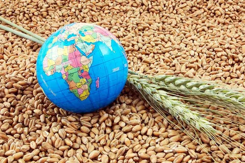 وال استریت ژورنال: جهان در آستانه یک بحران غذایی/ سه‌گانه کنترل ایران بر تنگه هرمز، جنگ اوکراین و دستکاری بازار جهانی کودهای کشاورزی از سوی چین، چگونه شوک‌های غذایی را به ارمغان می‌آورد؟