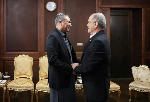 منبع داخلی: وزیر کشور پاکستان برای دیدار با مسئولان بلند پایه ایرانی، عازم‌ تهران شد/ او در این سفر «پیش‌برد مذاکرات» را پیگیری خواهد کرد