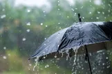 هواشناسی: طی ساعات آینده برای تهران، قم، لرستان و مناطق مرکزی کشور بارش باران پیش‌بینی می‌شود/ در جاده‌های کوهستانی بارش برف، مه و کاهش دید اتفاق میفتد