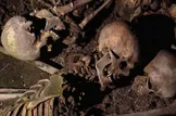 پیش‌بینی محققان درباره انقراض انسان: جمعیت جهان تا سال ۲۴۱۵ به آستانه نابودی می‌رسد