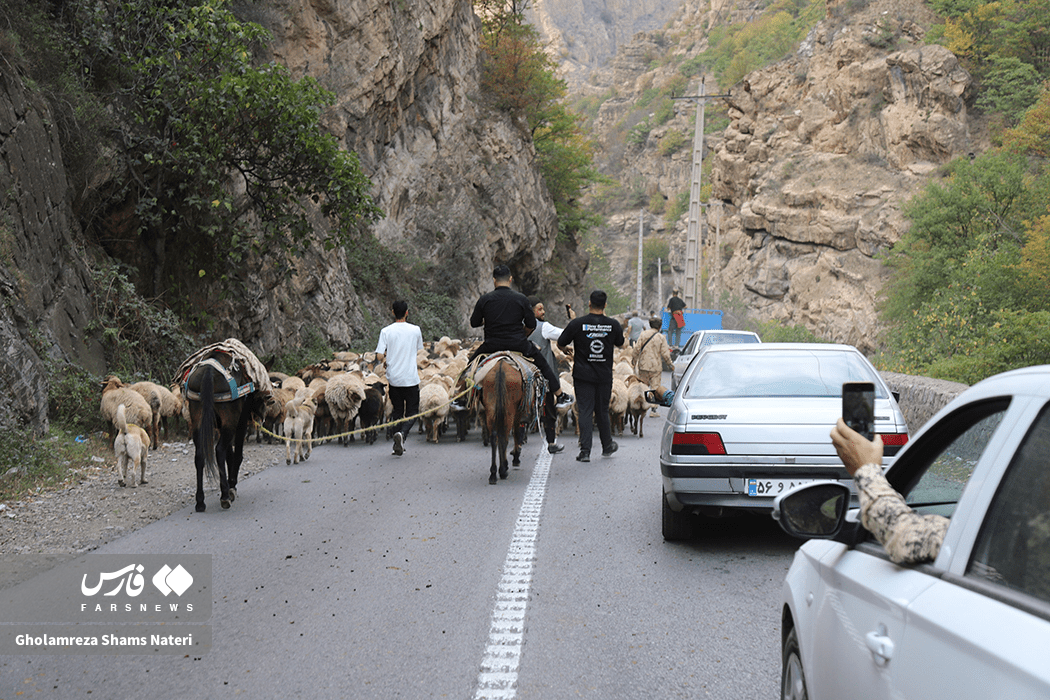 تصاویر: انسداد پر دردسر