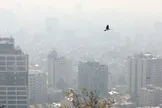 هواشناسی: هوای تهران آلوده می‌شود