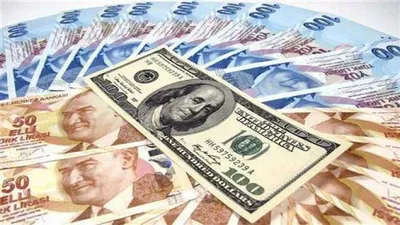 سقوط بی سابقه ارزش لیر ترکیه/ هر ۵ لیر برابر با یک دلار شد