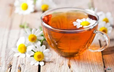 دمنوش‌های گیاهی برای سلامتی و شادی (قسمت پنجم)