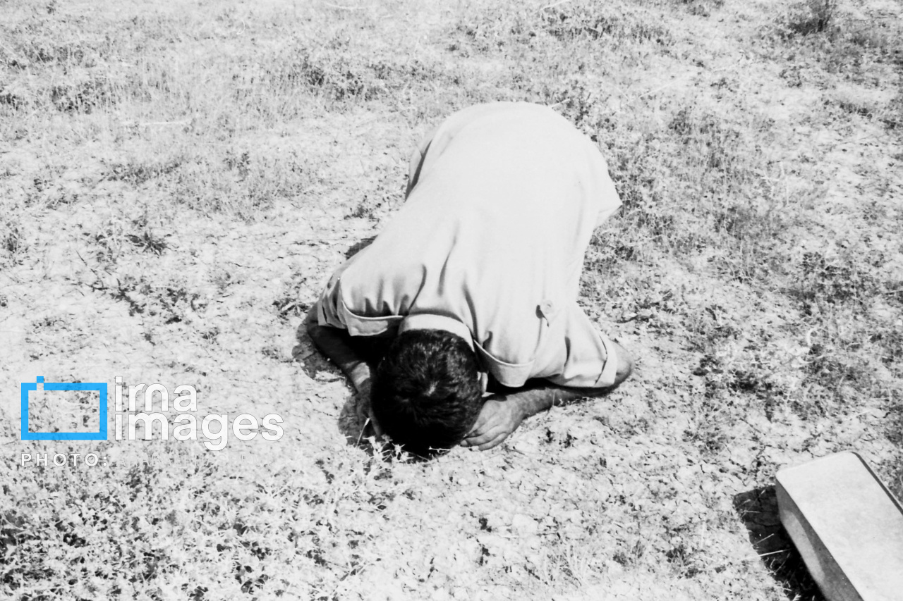 تصاویر: لحظه ورود آزادگان به میهن