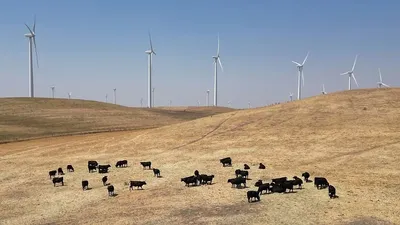 افشای طرح ۲۲هزار هکتاری ساخت آرمانشهر کالیفرنیا؛ آیا رویای میلیاردرهای سیلیکون‌ولی محقق می‌شود؟