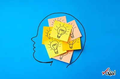 برترین خوراکی ها برای تقویت حافظه / از ماهی تا کشمش