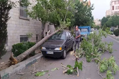 سه روز آماده‌باش برای طوفان در تهران / هشدار سازمان مدیریت بحران: در طوفان روز گذشته ۸۳۳ مورد سقوط درخت، ۹۸ مورد آسیب به خودرو،  هشت مورد آسیب به تیر چراغ برق و کابل برق و ۸ مورد آسیب به چراغ راهنمایی گزارش شد / شهروندان از توقف زیر داربست‌ها، درختان فرسوده و دیوارهای ناپایدار خودداری کنند