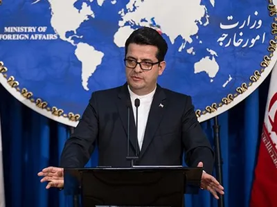 موسوی: رفتار مرزبانی آمریکا با اتباع یا متولدین ایرانی از مصادیق تفتیش عقاید و نقض فاحش حقوق بشر است