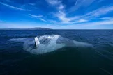 ببینید/ اولین ویدیو از عملکرد زیردریایی بدون خدمه Manta Ray دارپا منتشر شد