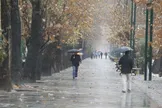 بارش‌ها در ایران با رشد ۸۲ درصدی به ۱۲۷ میلی‌متر رسید/ وضعیت پایتخت با وجود بارندگی‌های اخیر، همچنان نگران کننده است/ ۶ استان تهران، قم، قزوین، همدان، گیلان و مازندران همچنان دارای بارش منفی هستند