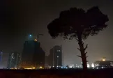 دستور ابطال بخشنامه شهرداری مربوط به ساخت و ساز در باغات صادر شد