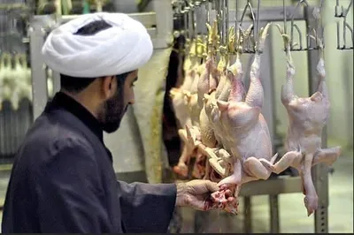 حقوق ناظران شرعی واردات مرغ؛ ۲۵۰۰ یورو!